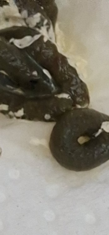 20260930_125319.jpg