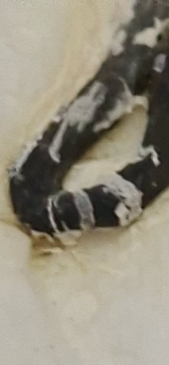 20260930_125343.jpg