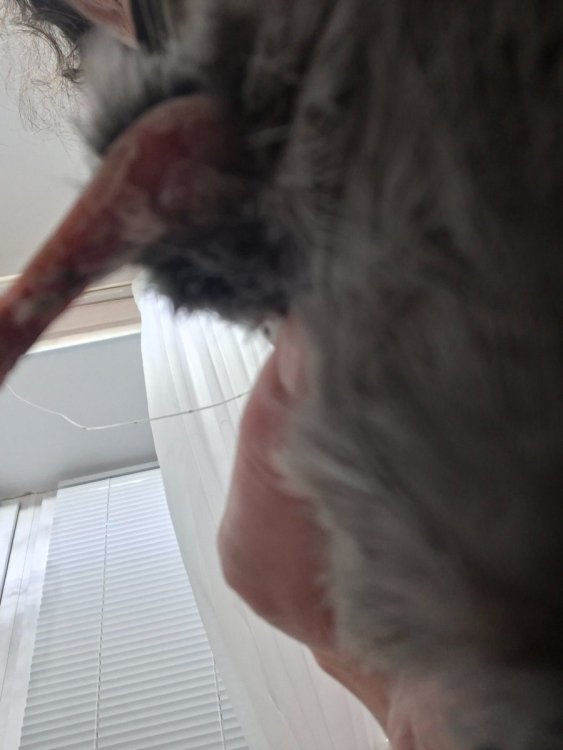 20260930_193159.jpg