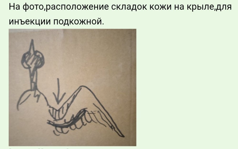 IMG_20260728_130553.thumb.jpg.4cc5edd338411d10cc7d17415f064b65.jpg