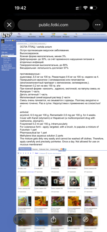IMG_5148.png.e43c76f0c04a7f3ae23aa16bb4007e9b.thumb.png.00aa12235316593b9387184e366a96ac.png
