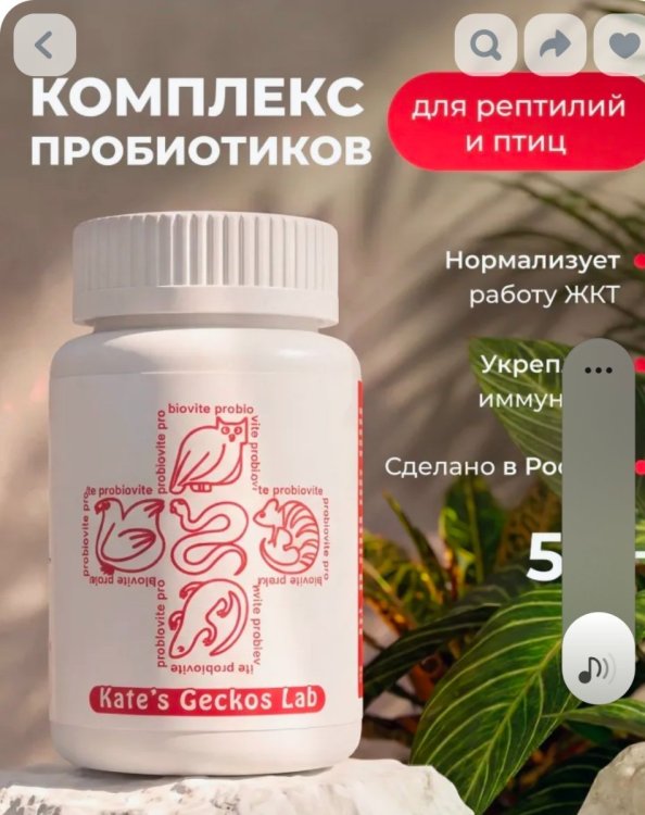 Screenshot_20260927_144632_OZON.jpg