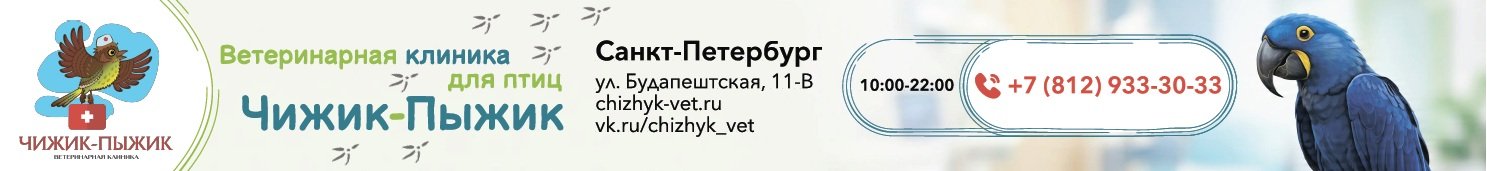 advertisement_alt