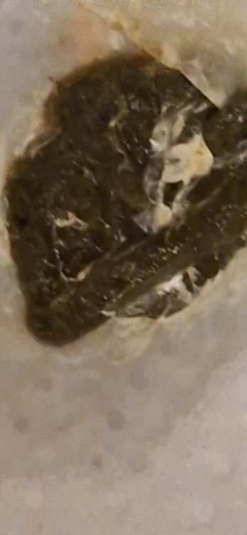 20261002_014319.jpg