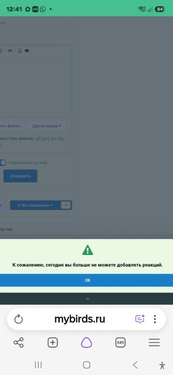 Screenshot_20261002_124111_Yandex Browser.jpg