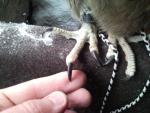 post-10787-1264576925_thumb.jpg