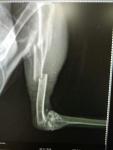 post-10933-1480620471_thumb.jpg