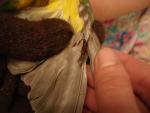 post-10953-1212522377_thumb.jpg