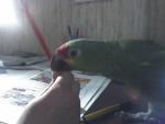 post-11862-1202892422_thumb.jpg