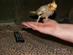 post-11989-1192740684_thumb.jpg