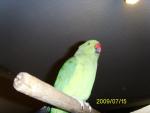 post-12092-1249026439_thumb.jpg