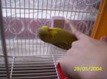 post-12501-1201780513_thumb.jpg