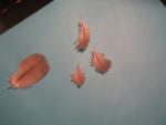 post-12537-1256207208_thumb.jpg