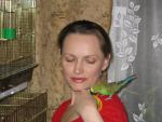 post-12677-1233987052_thumb.jpg
