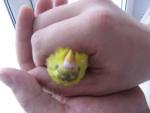 post-12685-1197826238_thumb.jpg