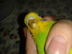 post-12734-1494828833_thumb.jpg