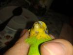 post-12734-1494828883_thumb.jpg