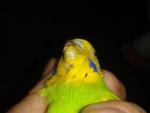 post-12734-1494828912_thumb.jpg