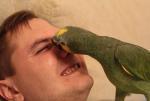 post-12857-1297156502_thumb.jpg