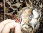 post-13186-1261644264_thumb.jpg