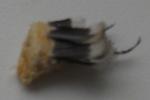 post-13186-1261644366_thumb.jpg