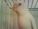 post-13434-1205834836_thumb.jpg