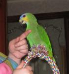 post-13593-1206717020_thumb.jpg