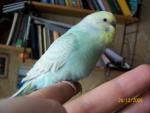 post-13688-1230105882_thumb.jpg