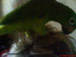 post-13795-1264085229_thumb.jpg