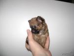 post-13795-1320309092_thumb.jpg
