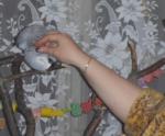 post-13827-1238012622_thumb.jpg