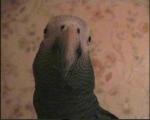 post-1409-1129130718_thumb.jpg