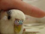 post-14158-1219852907_thumb.jpg
