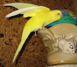 IMG_3258_____.jpg