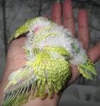 19____09_051.jpg