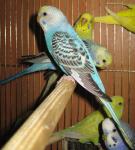 IMG_8959.JPG