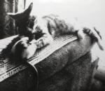 8___08_030.jpg