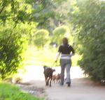 IMG_4996.JPG