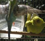 IMG_6172.JPG