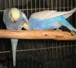 IMG_8912.JPG