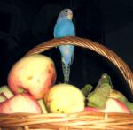IMG_9064.JPG