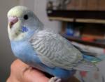 4.07.11_008.jpg
