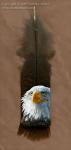 Jennifer_Miller_bald_eagle_portrait_feather____________.jpg