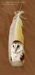 Jennifer_Miller_barnowl_profile_feather.jpg