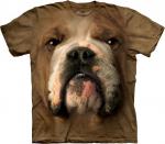 The_Mountain_10_3254_Bulldog_Face.jpg