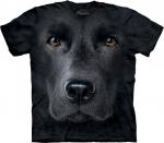 The_Mountain_10_3255_BlackLab_Face.jpg