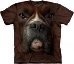The_Mountain_10_3257_Boxer_Face.jpg