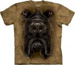 The_Mountain_10_3259_Mastiff_Face.jpg