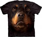 The_Mountain_10_3263_Rottweiler_Face.jpg