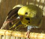 11.11.11_002.jpg